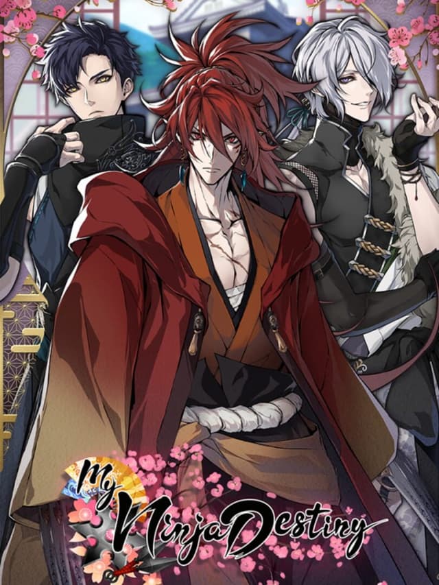 My Ninja Destiny